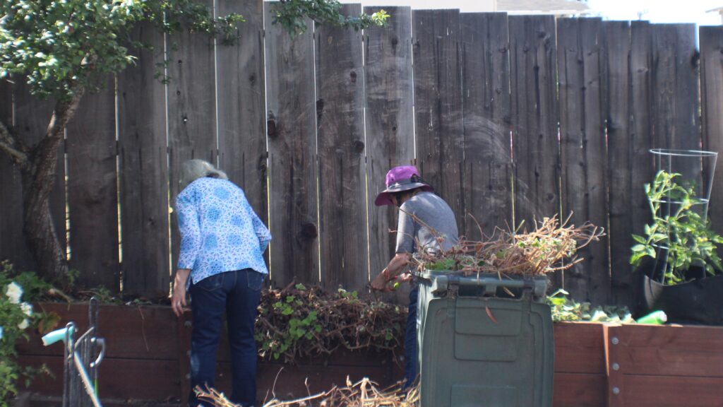 Gardeners (1) garden volunteers pulling weeds